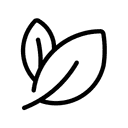 Change website theme to forest.