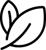 Change website theme to forest.