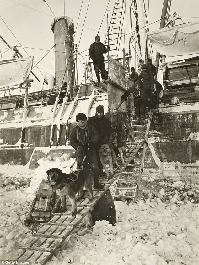 Endurance crew with their dogs