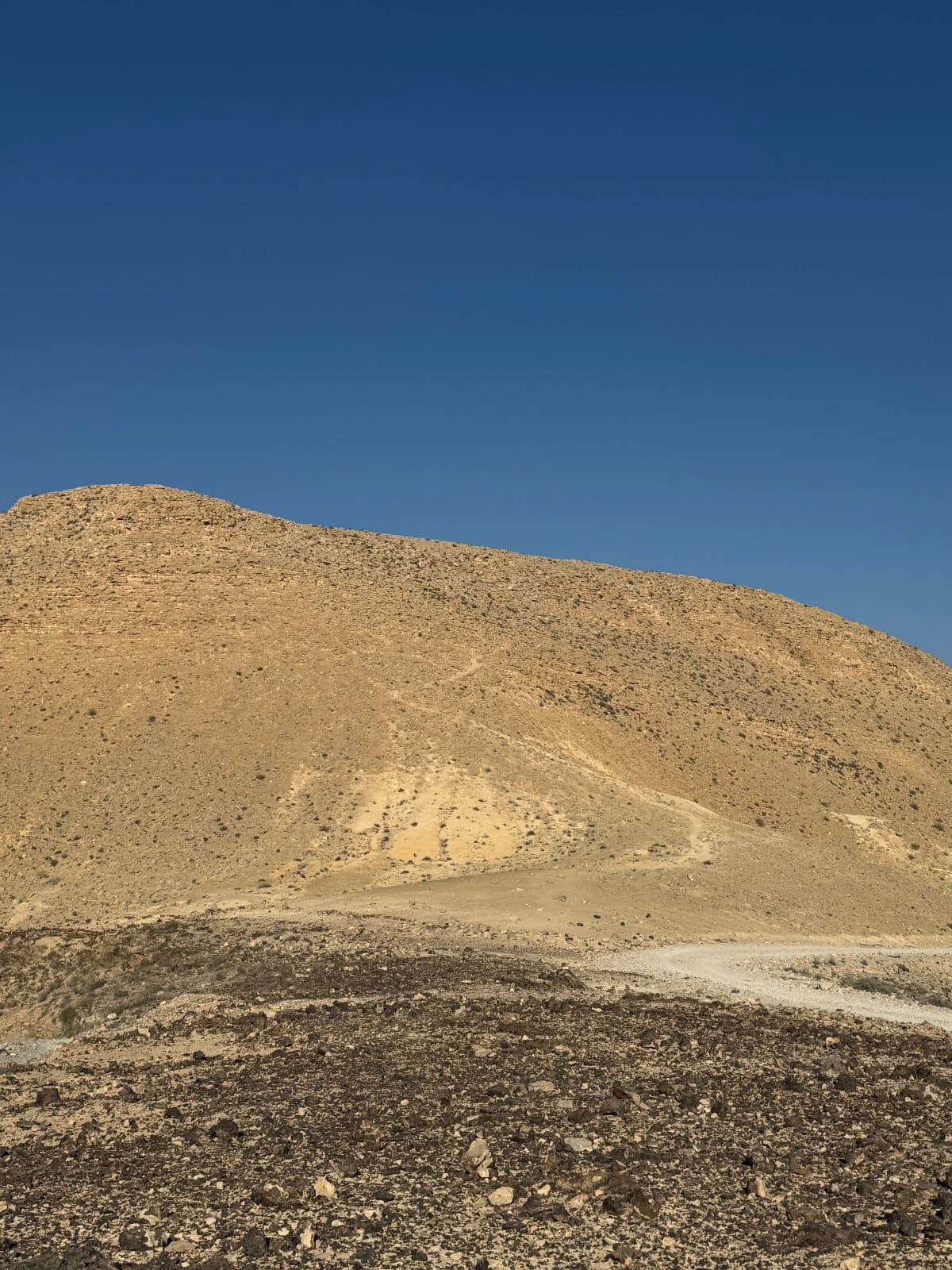 מעלה ליד מצפור ערוד, העולה על המסלול המקיף את מכתש רמון