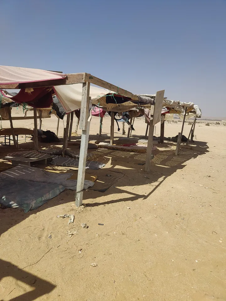 Bedouin Tents