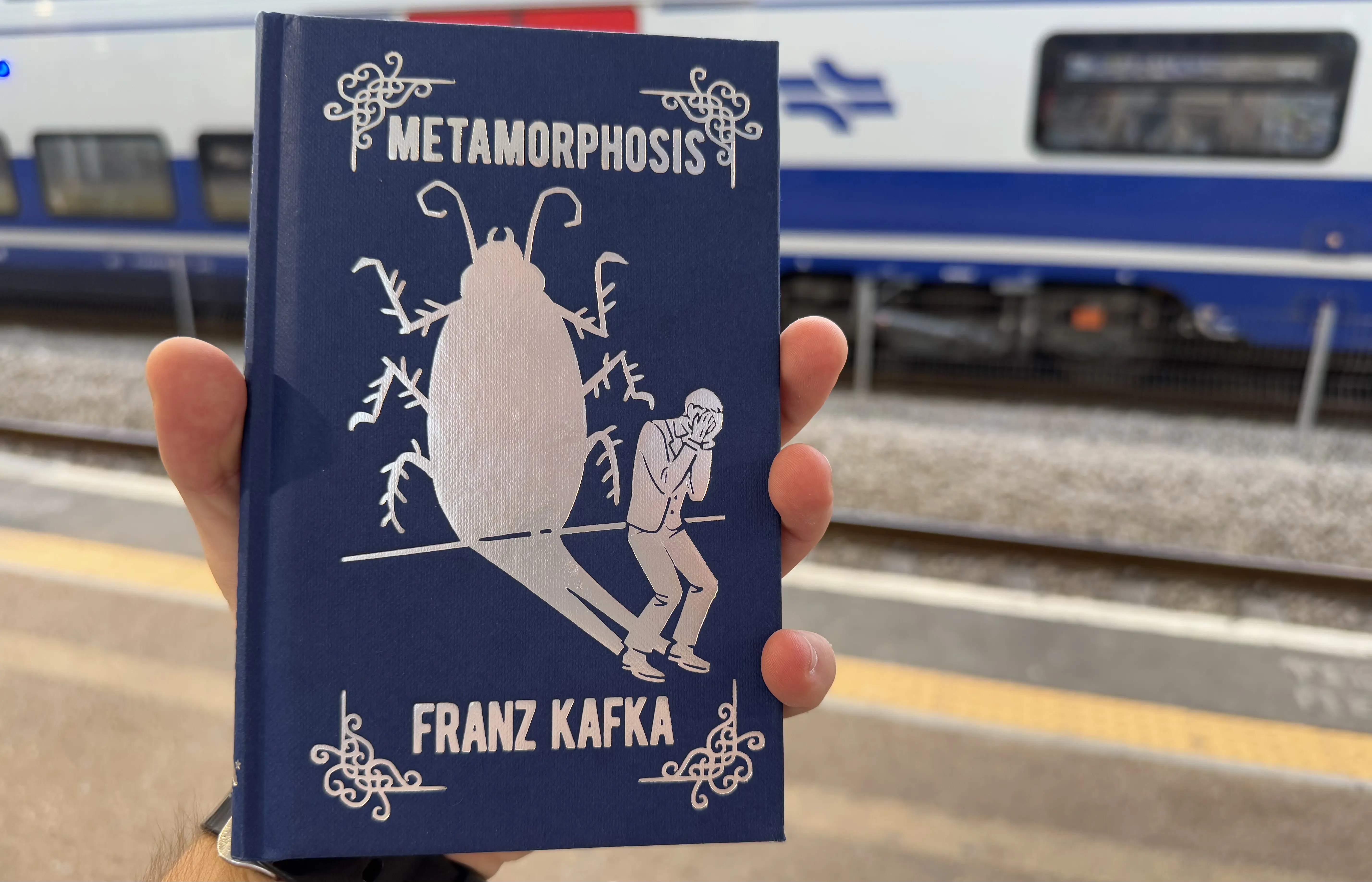 Thoughts on Metamorphosis